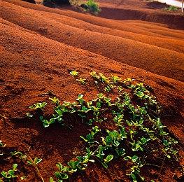 《战锤40K：星际战士2》公布全新“围攻”模式将于6月26日免费上线